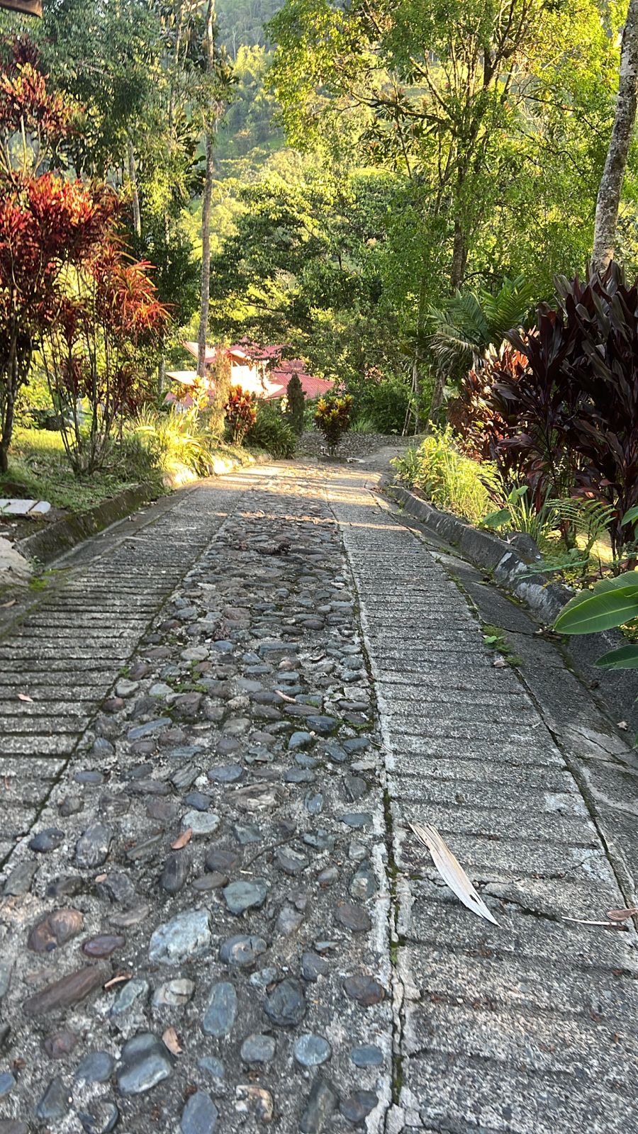 The cobbled drive down through the gardens