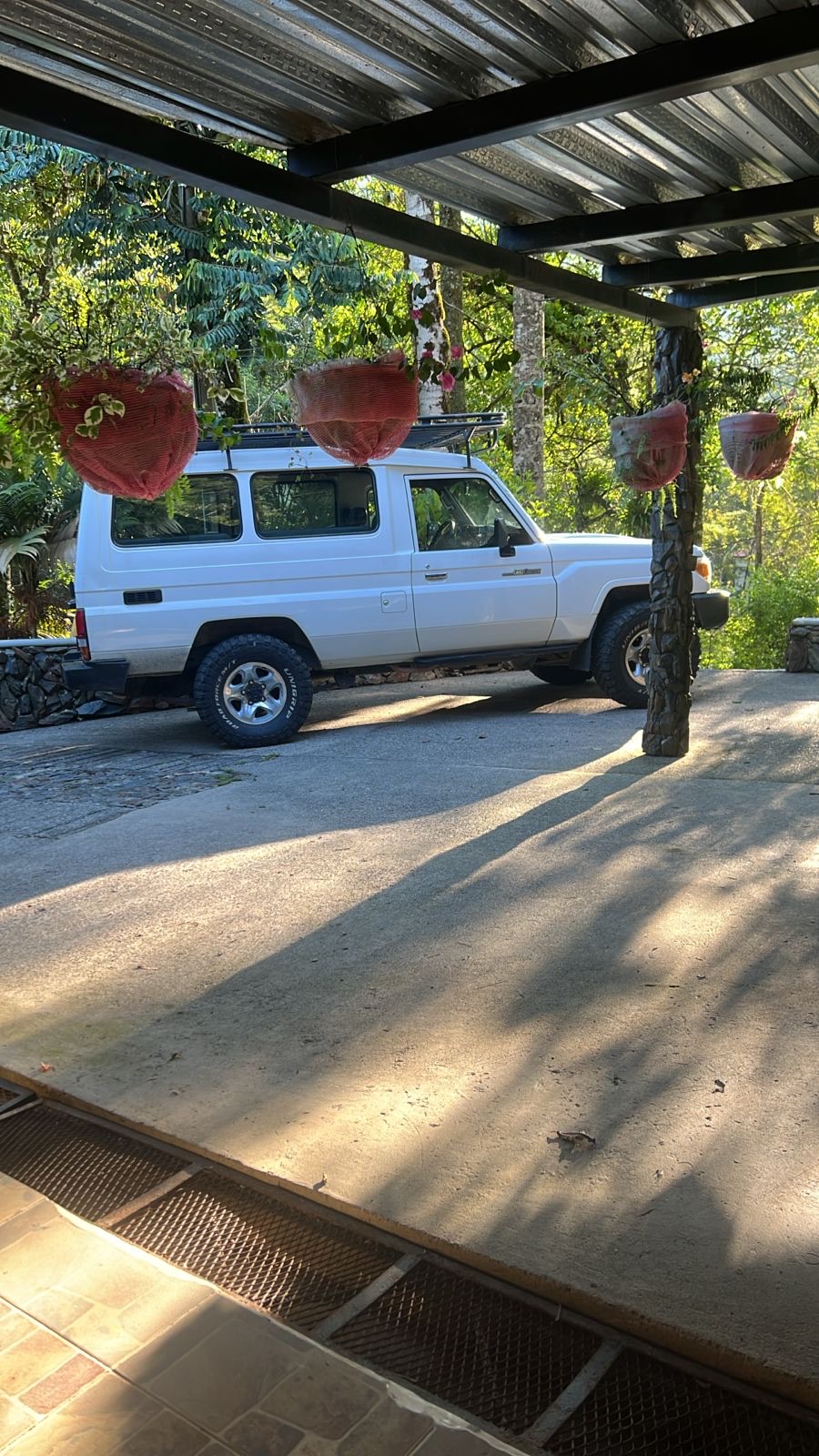 The carport — jungle on all sides
