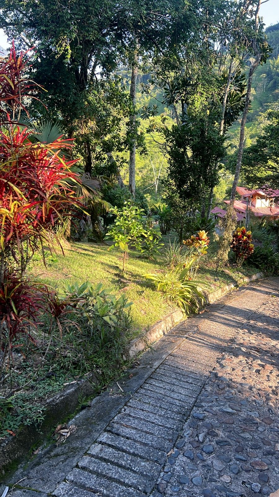 Golden evening light over the Cocorná valley